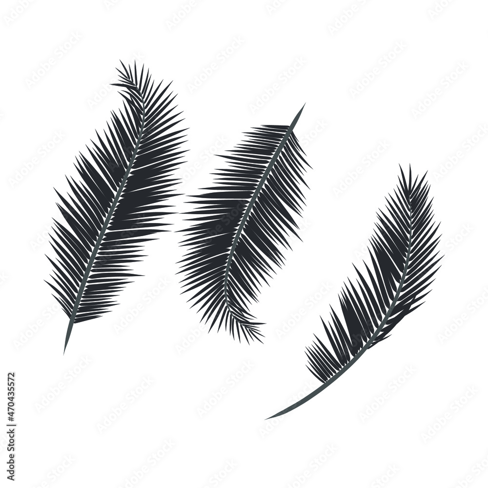 Leaf and coconut tree. Leaf and coconut tree.