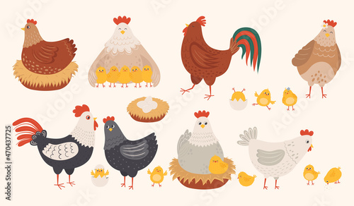 Set of cute hen, rooster and chicks in flat style. Adorable family of chicken characters for children. Hand drawn farm birds vector illustration