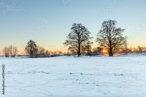 snow landscape with trees and sunrise © Nicole Lienemann