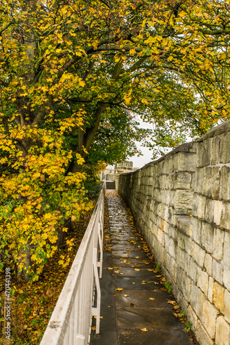 Trail on top of medieval 13th century city wall through colorful autumn foliage in York England photo