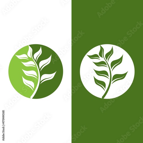 Logos of green Tree leaf ecology