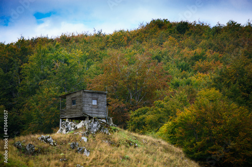A hunting lodge embraced by autumn colors