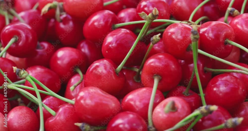 Fresh juicy red cherry berry rotate. Ripe freshly-picked cherries. Healthy vegetarian food Fresh juicy red cherry berry rotate. Ripe freshly-picked cherries. Healthy vegetarian food