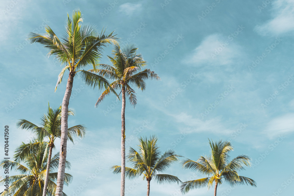 Tropical palm tree with blue sky and cloud abstract background. Summer vacation and nature travel adventure concept.