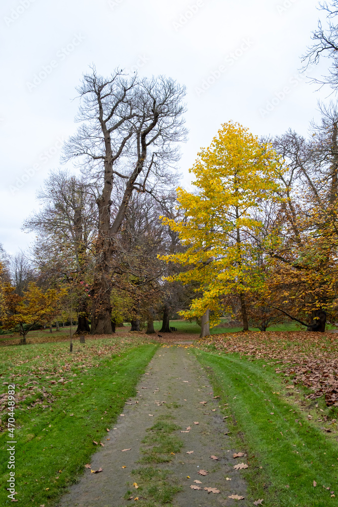 Fototapeta premium Petworth House Gardens Autumn Clour