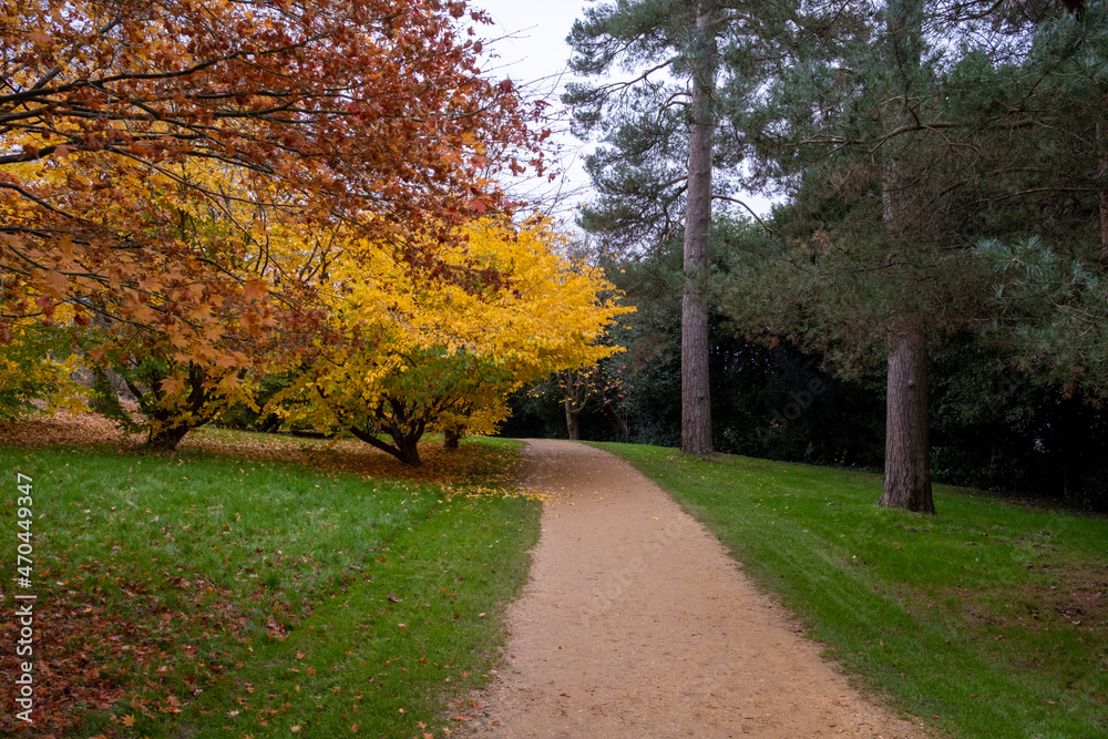 Petworth House Gardens Autumn Clour