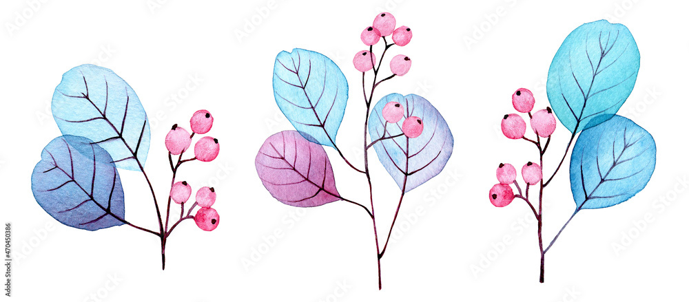 watercolor drawing. set of transparent eucalyptus leaves and blue and pink berries. abstract leaves and branches. collection for wedding decoration, greeting card