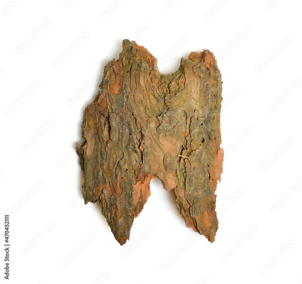 Obraz premium The front sides of a piece of pine bark. Isolated on white background