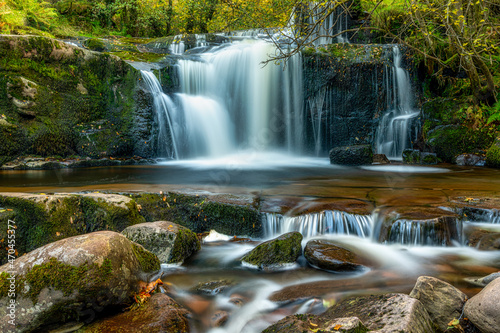 waterfall in the forest