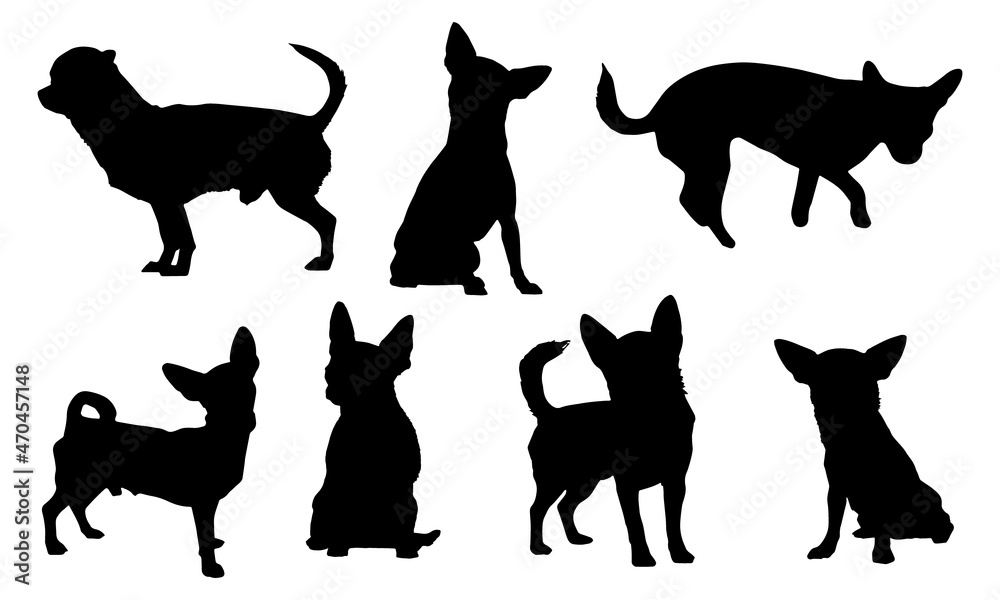 Chihuahua Silhouettes SVG Chihuahua Vector