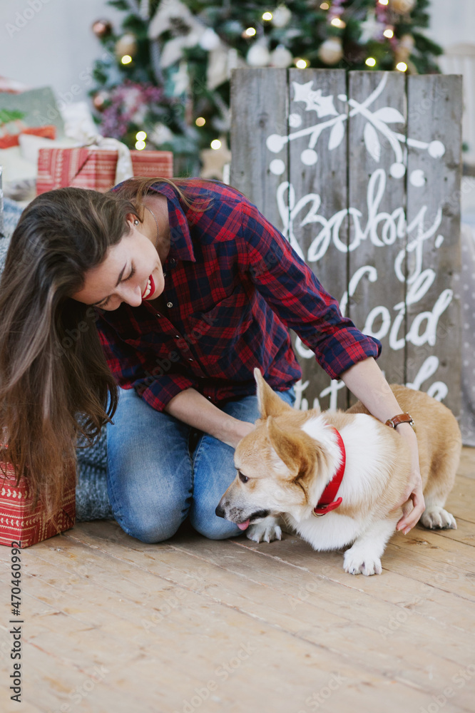 Young woman in checkered shirt playing with corgi dog at home with christmas tree. Candid moment hapy girl playing with a puppy in apartment decorated for holiday season.