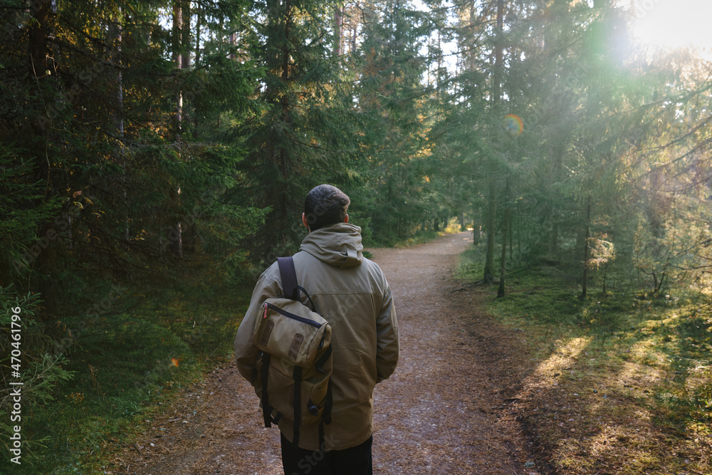 A man traveler walks through the woods. Beautiful wild nature landscape in forest. Hiking journey on tourist trail. Outdoor adventure. Travel and exploration. Healthy lifestyle, leisure activities