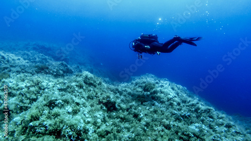 Scuba divers at sea