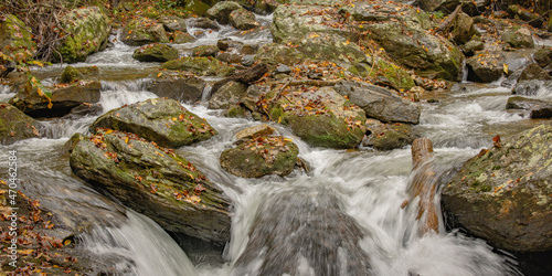 Autumn leaves on the mossy river rocks