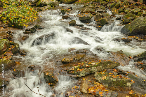 River rapids with fall leaves