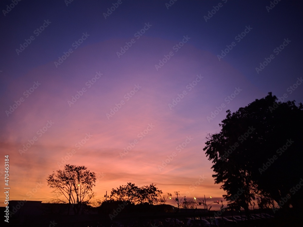 sunset with tree