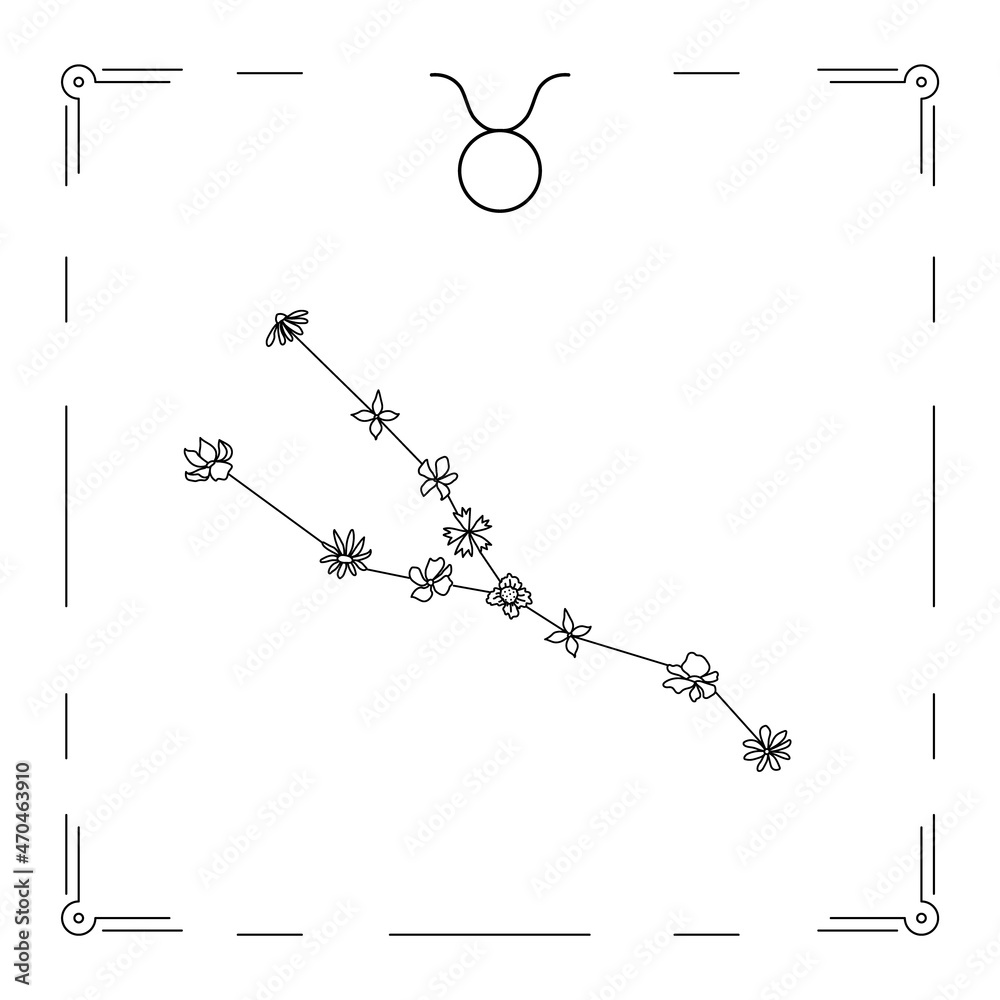 Fototapeta premium taurus constellation with flowers and zodiac sign.
