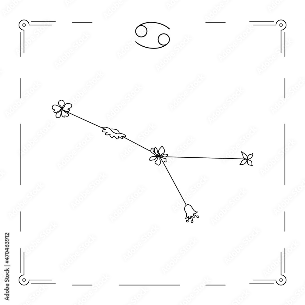 Fototapeta premium Cancer constellation with flowers and zodiac sign.