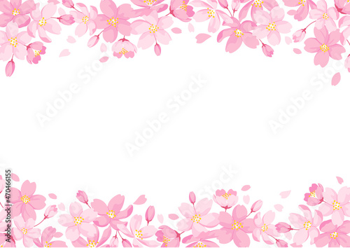 Cherry Blossoms Frame, White Background