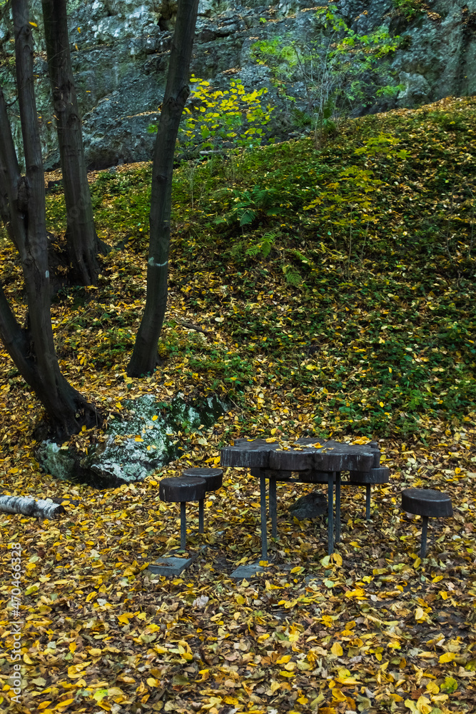Beautiful Forest in Fall Season, Autumn Season Background Photography, Natural Background, Beautiful Forest in Fall Season, Autumn Season Background Photography, Natural Background,