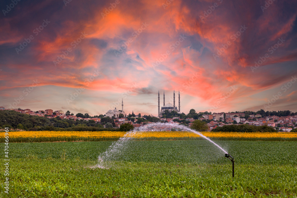 selimiye mosque in the background while the agricultural fields are irrigated