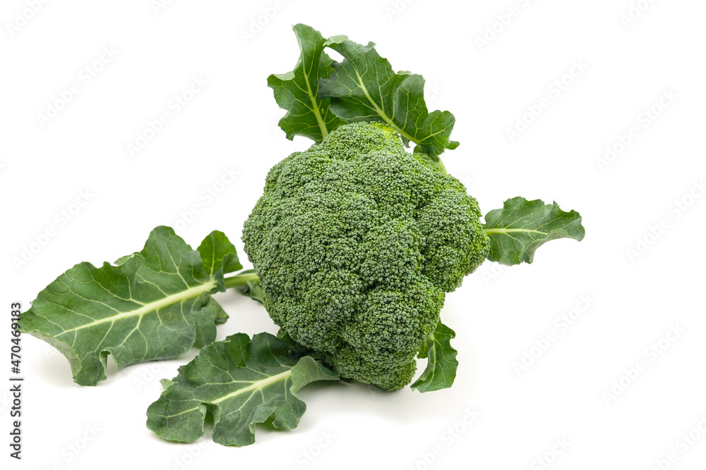 Fresh brocoli vegetable isolated on white background. Fresh brocoli vegetable isolated on white background.