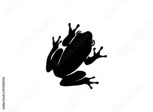 frog icon vector isolated on white, frog silhouette image