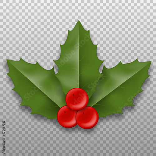 Realistic Christmas Holly Berry leaves. Vector illustration.