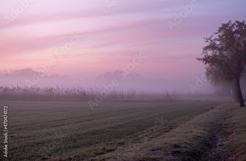 Sonnenaufgang im Nebel