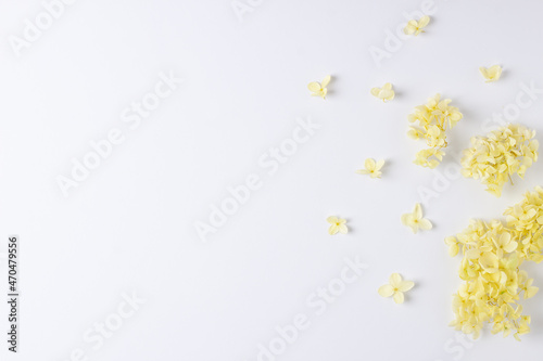Cosmetic background with flowers on white. Flat lay, copy space