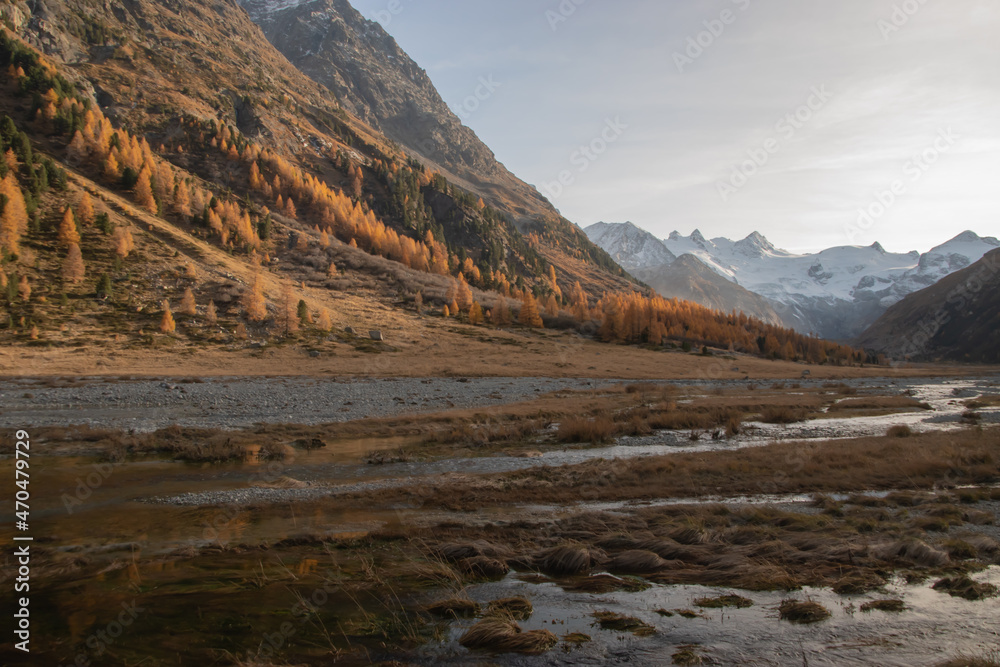 Colors of the autumn in St. Moritz.