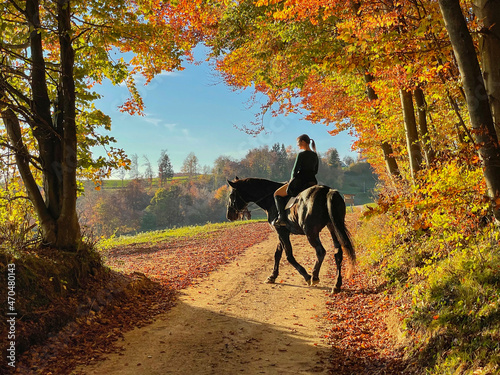 Woman rides a chestnut horse along a colorful forest trail on a sunny autumn day © helivideo
