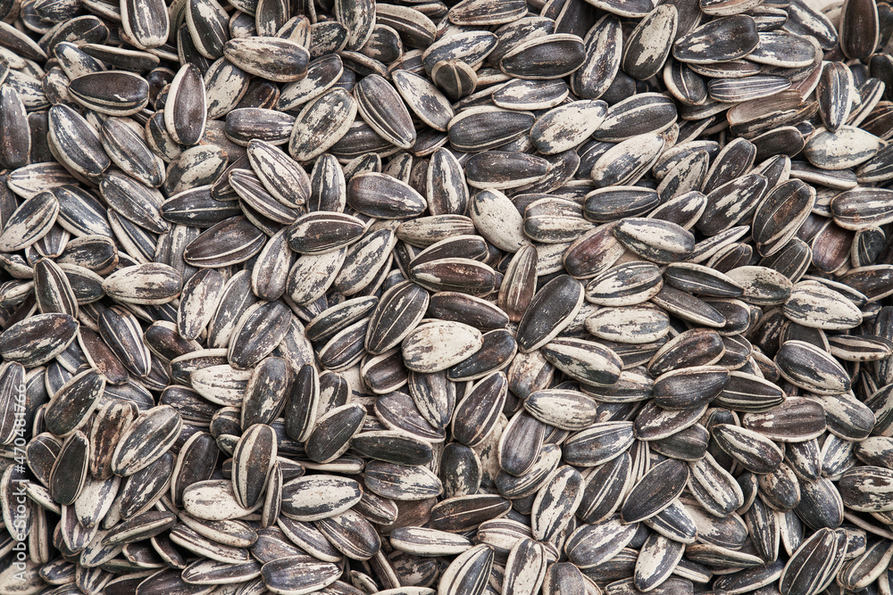 Beautiful sunflower seeds image