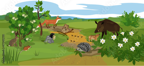 Different animals (mammals, birds, insects) and plants in their natural habitat