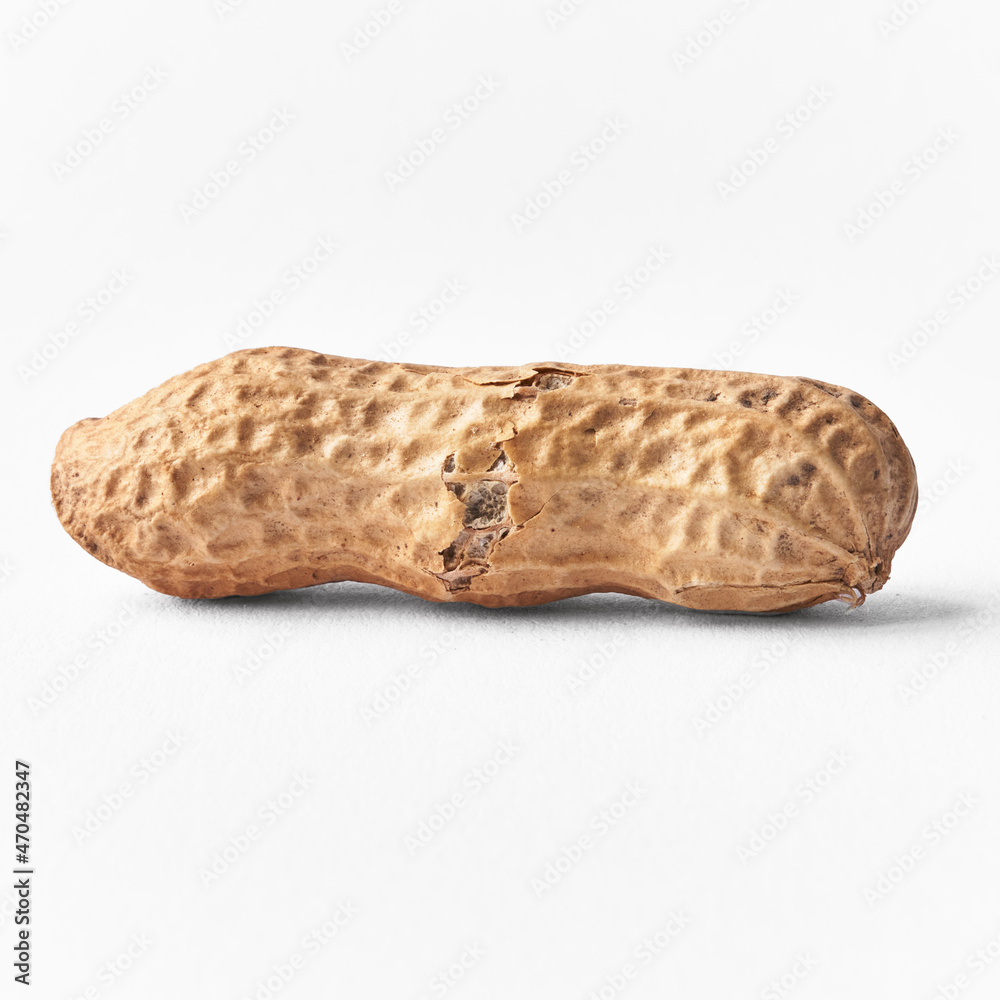 Single peanut with shell isolated on a white background Single peanut with shell isolated on a white background