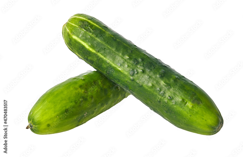 Bunch of cucumbers isolated on a white background Bunch of cucumbers isolated on a white background