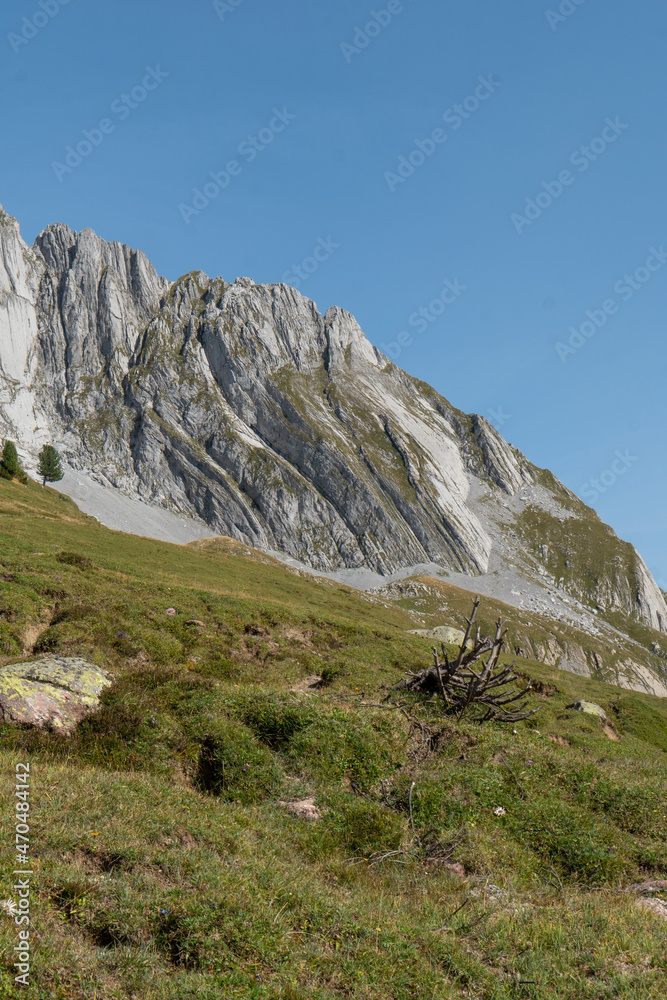 Alpenfaltung, Geologie