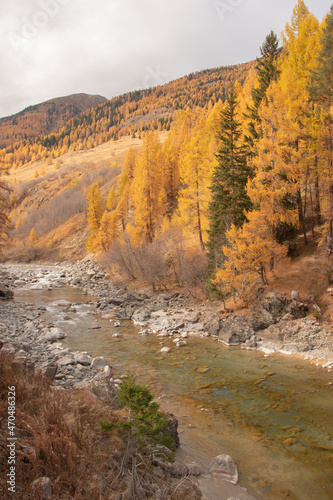 Colors of the autumn in St. Moritz..