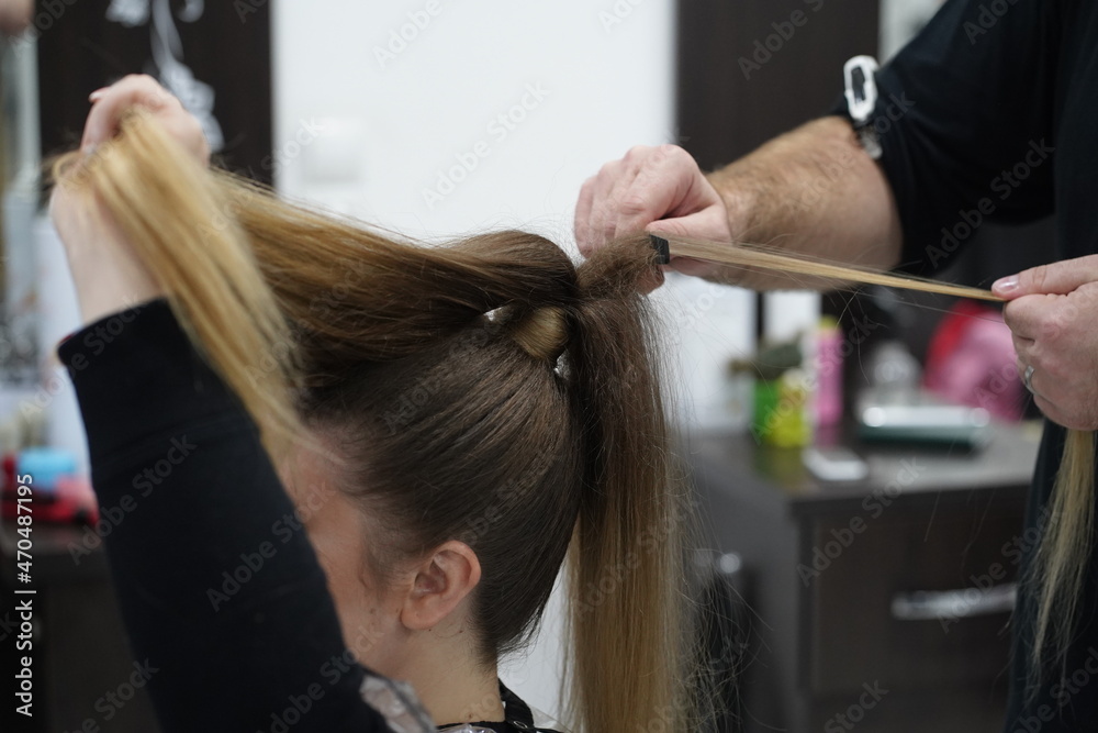 Naklejka premium Work in a hairdressing salon. High tail. Measurement with fingers by hairdresser before start.