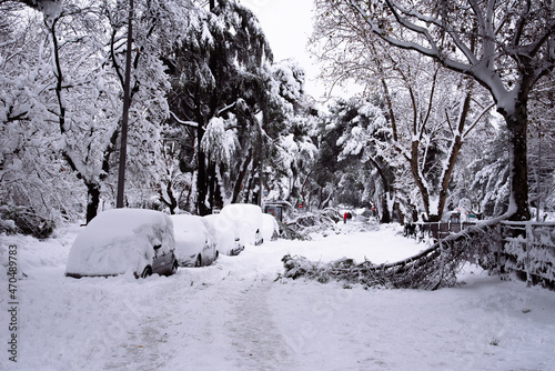 Canvastavla View of a city street covered in snow during heavy snowfall with fallen trees and trapped cars