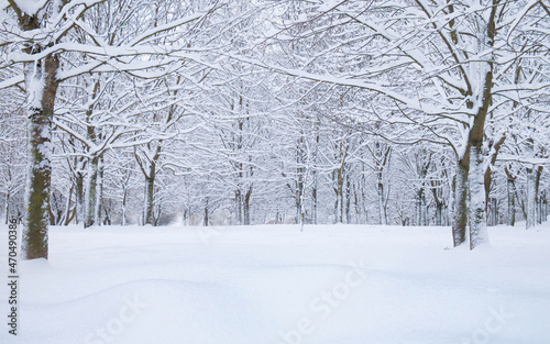 Nature Winter landscape © lumikk555