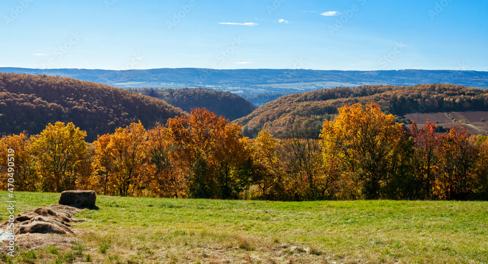 Fototapeta premium Autumn landscape