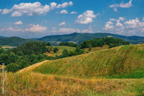 Beautiful summer landscape of National natural park – Low Tatras, Slovakia. Hills with dry grass, green trees and blue sky.