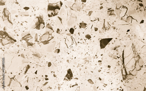 Wallpaper Mural Vector granite texture. Organic stone texture. Granularity surface. Torontodigital.ca