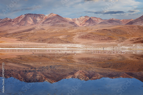 Landscape of flamingos and volcanoes in the Hedionda (stinking lake) lagoon, Bolivia