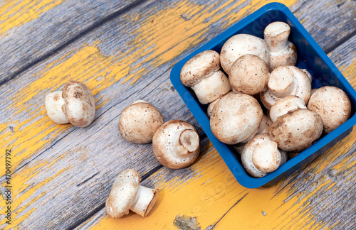 Flat lay view of white button mushrooms (Agaricus bisporus) on a rusty wooden looking background.