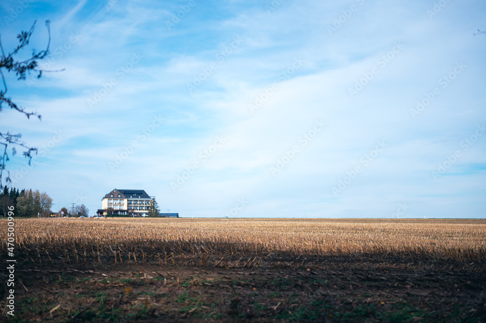 Fototapeta premium Müllerthal oder Müllerdall in Luxemburg in Herbst
