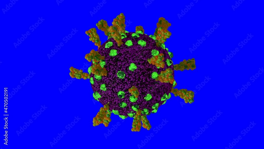 Loopable on Blue Screen: Single rotating coronavirus virion particle isolated on blue screen background. Stylyzed SARS-CoV-2 (COVID-19) coronavirus 3D animation.