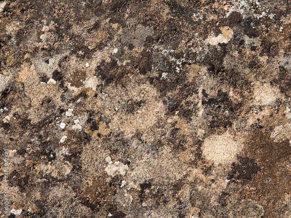 Stone background with damp stains Stone background with damp stains