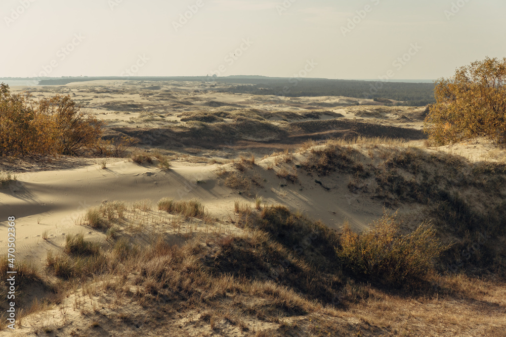 Panoramic view of the golden sand dunes of the Curonian Spit. The coastline of the Baltic Sea, forest belt, shrubs and grass on sand dunes. Panoramic view of the golden sand dunes of the Curonian Spit. The coastline of the Baltic Sea, forest belt, shrubs and grass on sand dunes.